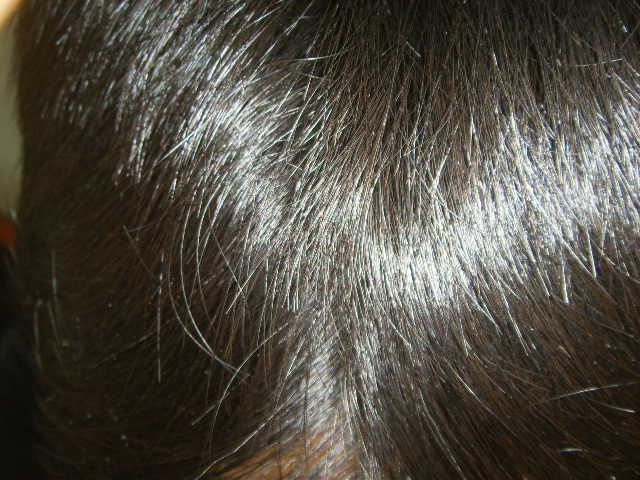 SSL12261.JPG