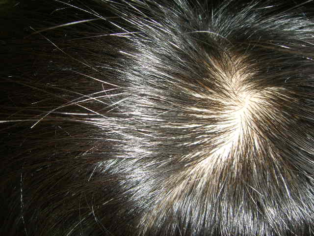 SSL12268.JPG