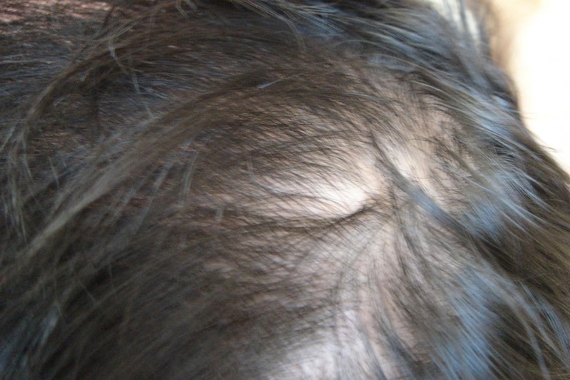 DSC00832.JPG