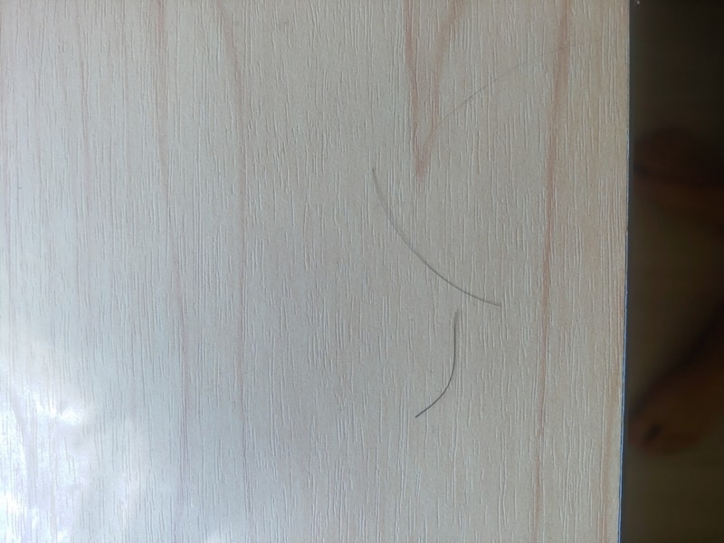 20190719_152649.jpg