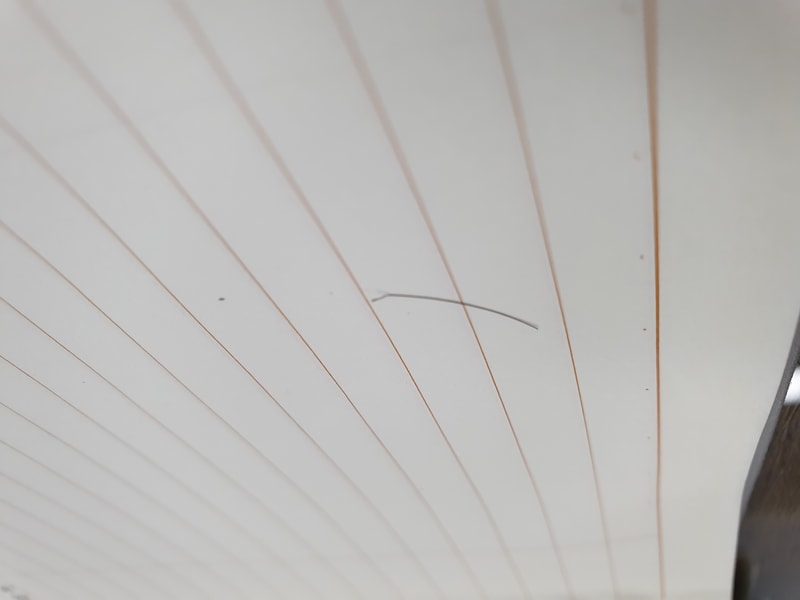 20190918_091736.jpg
