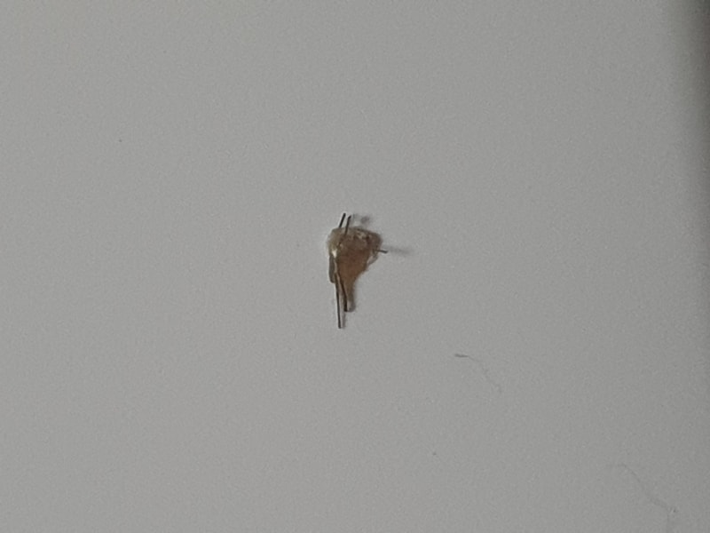 20250131_201649.jpg