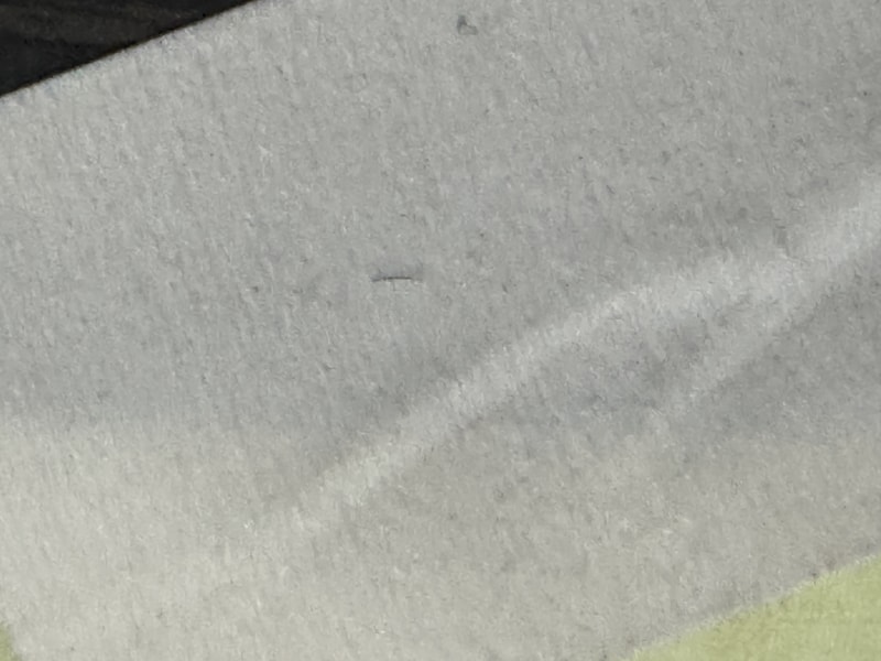 IMG_1207.jpeg