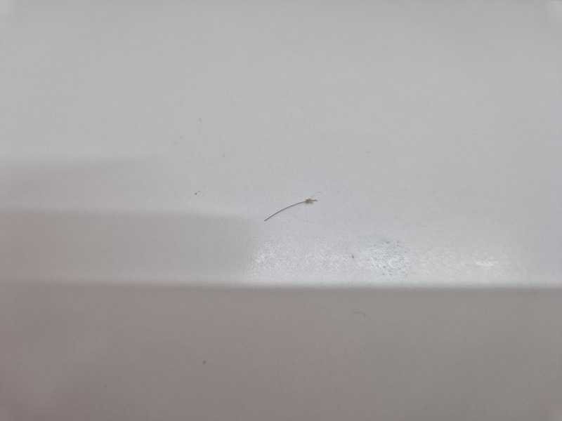 20240711_193005.jpg