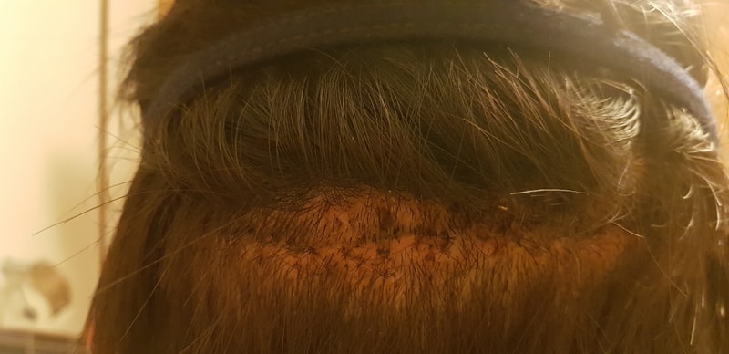 20180611_213336.jpg