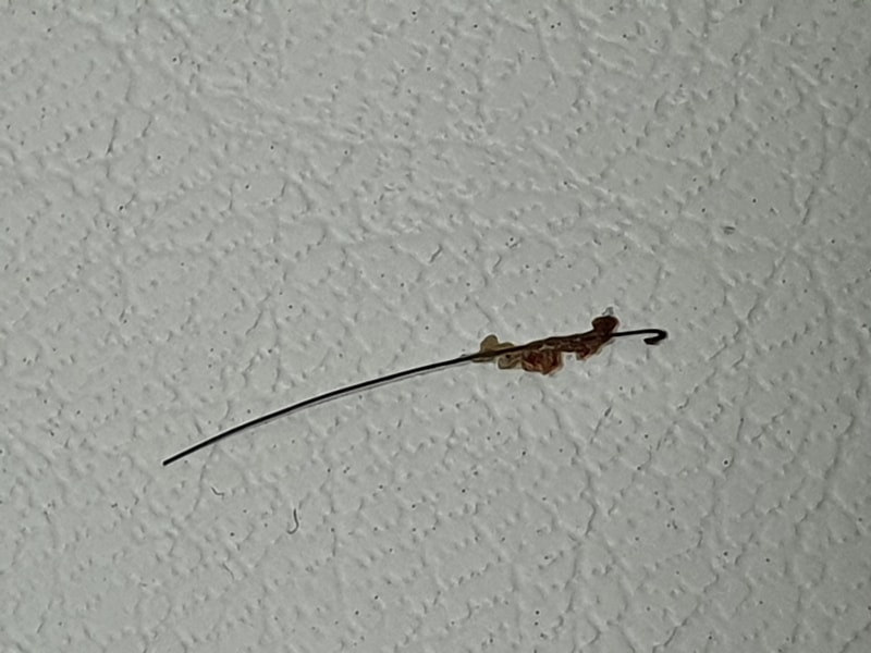 20220103_171310.jpg