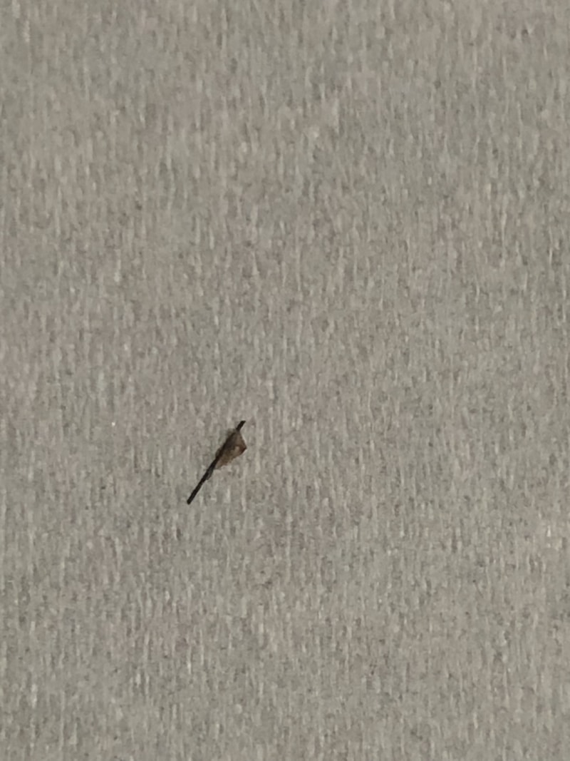 7637F442-4084-4144-AB6D-2F4B1A51FAFB.jpeg