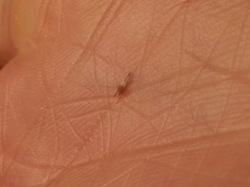 20150107_190107.jpg