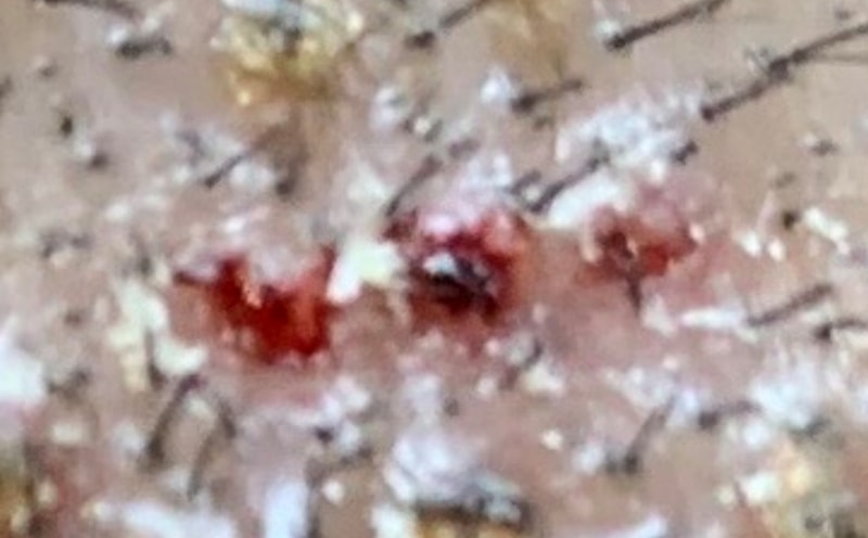 20200527_195321.jpg