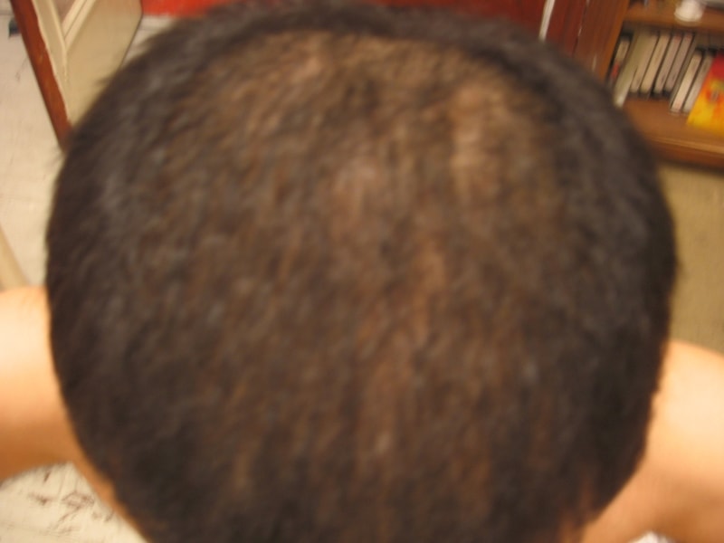 hair 002.jpg