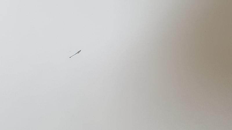 20181107_135323.jpg