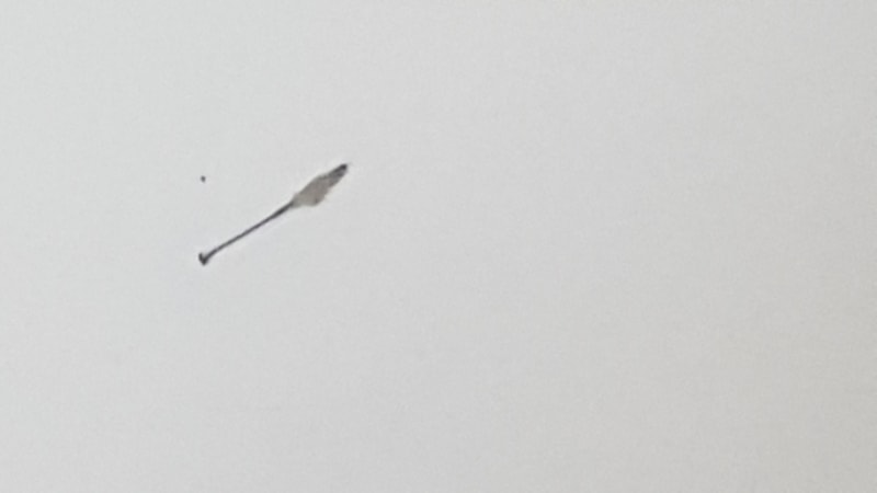 20181107_135335.jpg