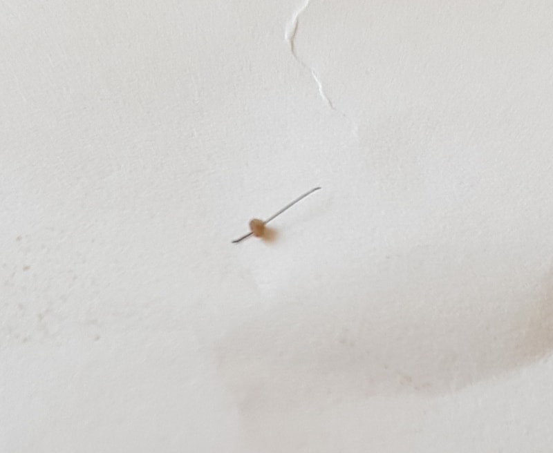 20190217_093659.jpg