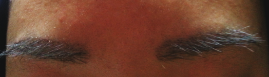 IMG_20140118_1.png