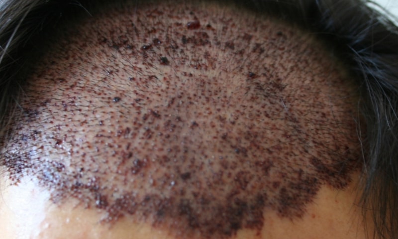 사진 510.jpg