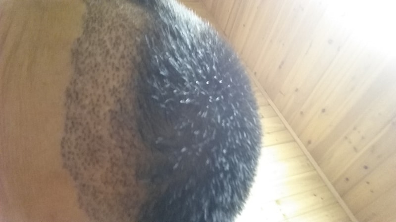 20161027_213159.jpg