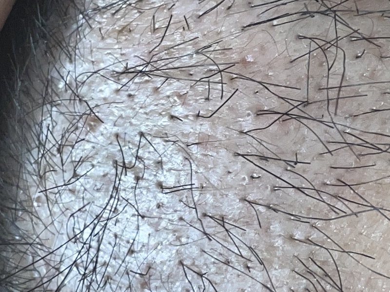 A8CDAF61-A064-4C47-9F0E-B9CCC0498550.jpeg