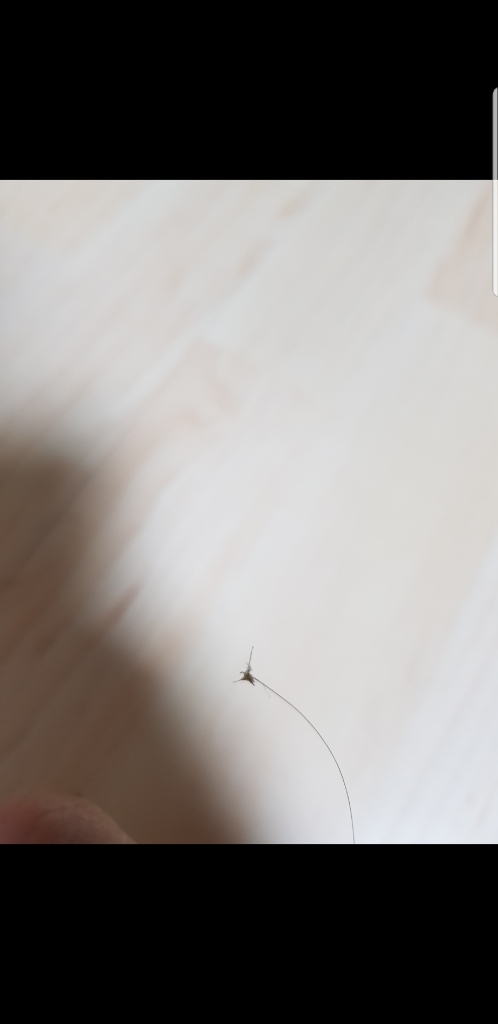 Screenshot_20190128-063946_Gallery.jpg