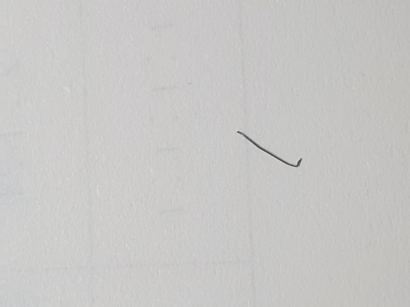20230902_224846.jpg