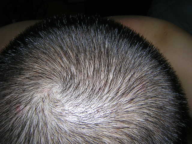 DSCN0642.JPG