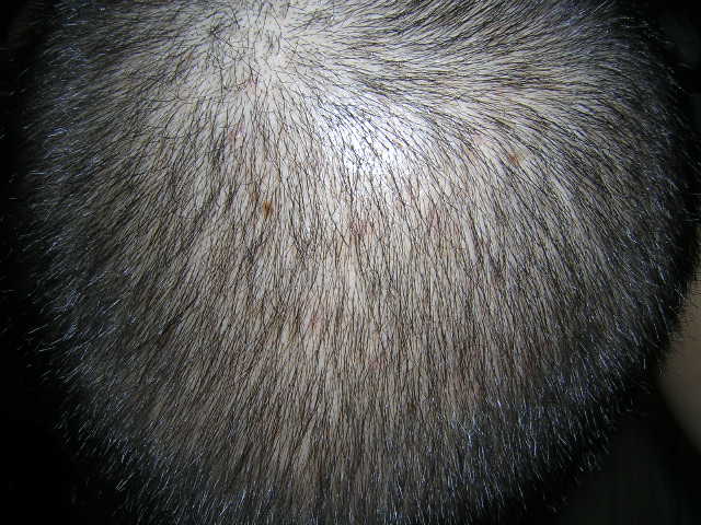 DSCN0641.JPG