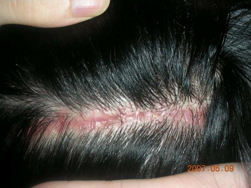 DSCN1826.JPG