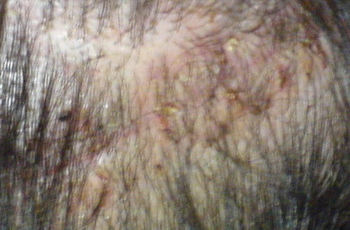 060131-1.jpg