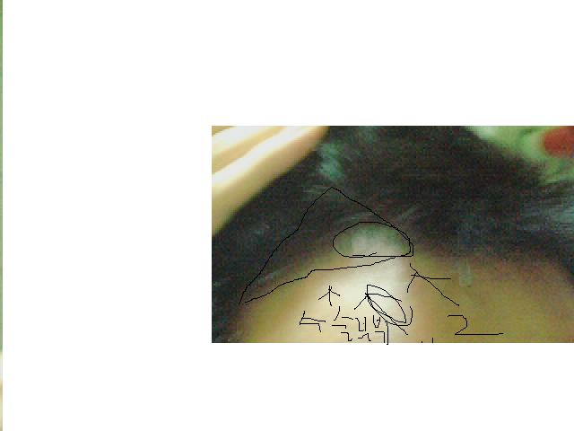 1130850456.jpg