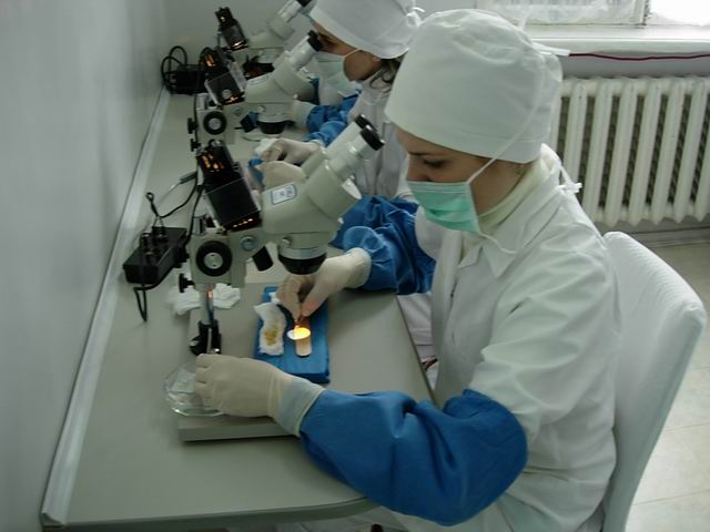 Dissection_Talizi.jpg