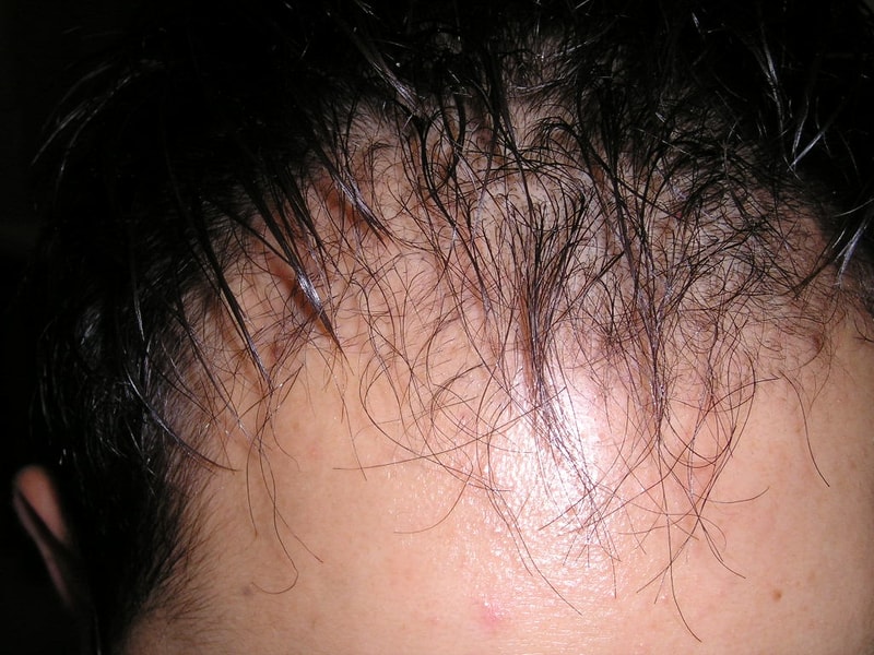 P1010006.JPG
