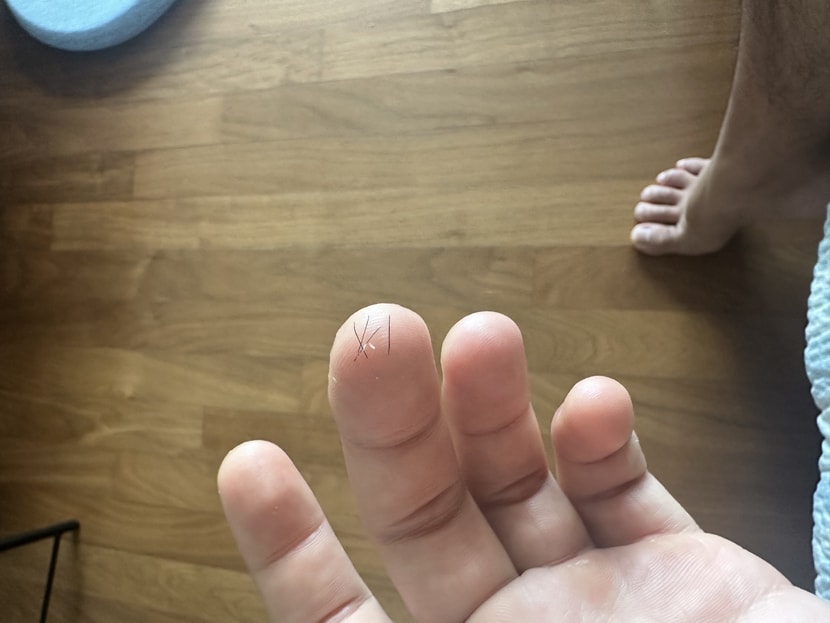 뽑혀나온 사진