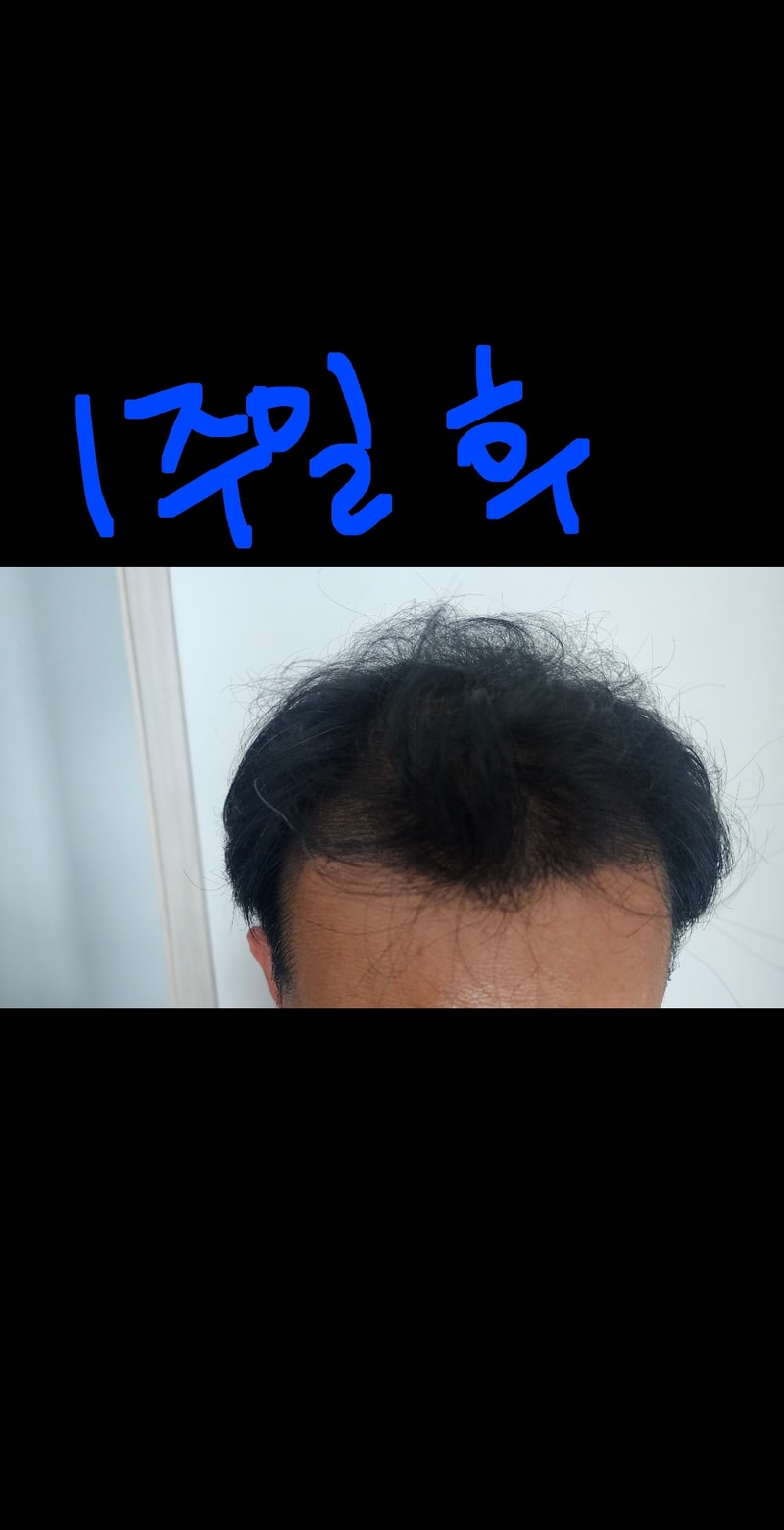 53339.jpg