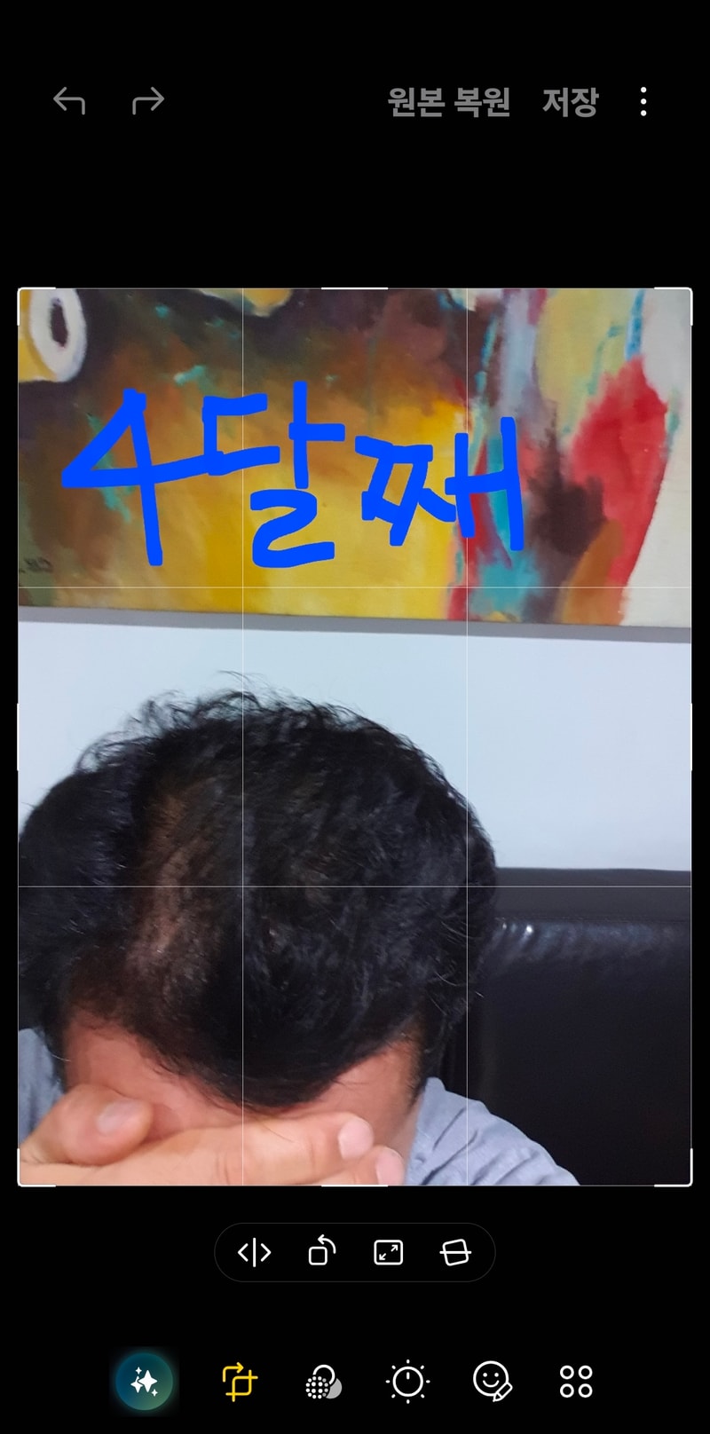 53327.jpg