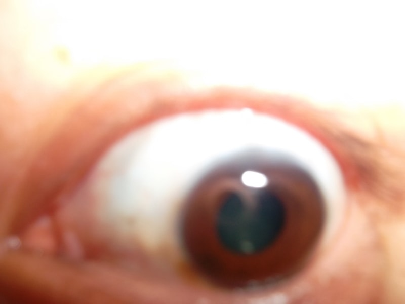 SAM_0927_Converted.JPG