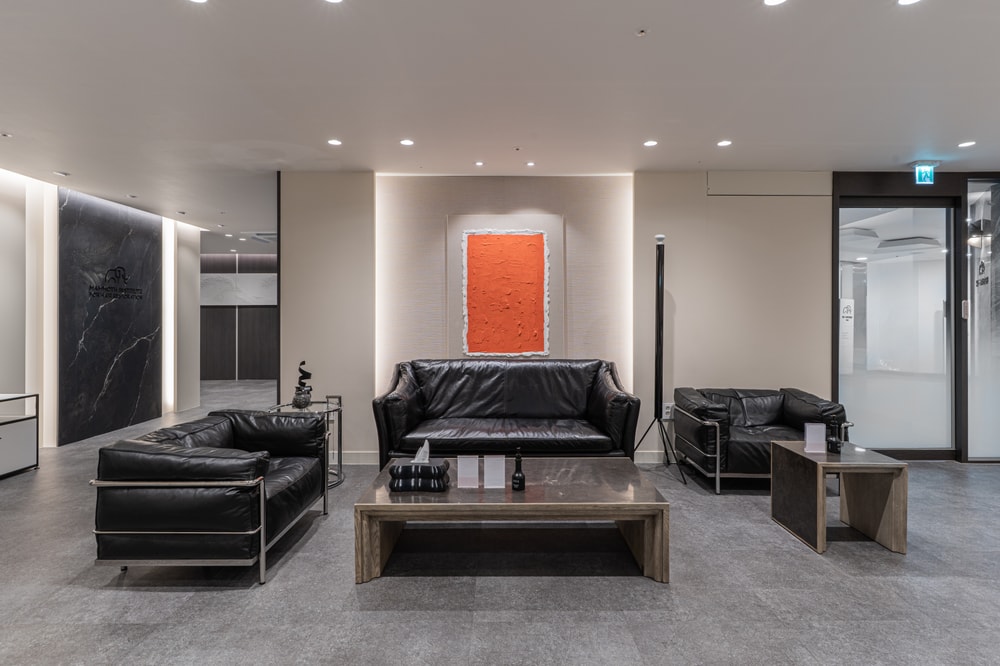 Mammoth Hair Restoration Center, Apgujeong 홍보이미지