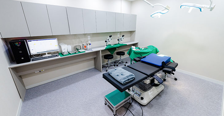 Momo Clinic 홍보이미지