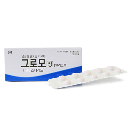 格罗莫丁