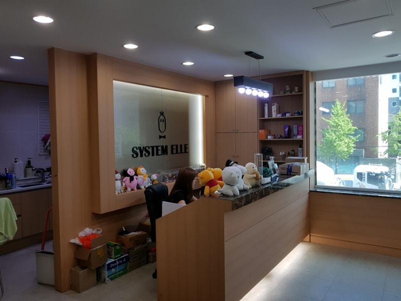 시스템엘르 부산점