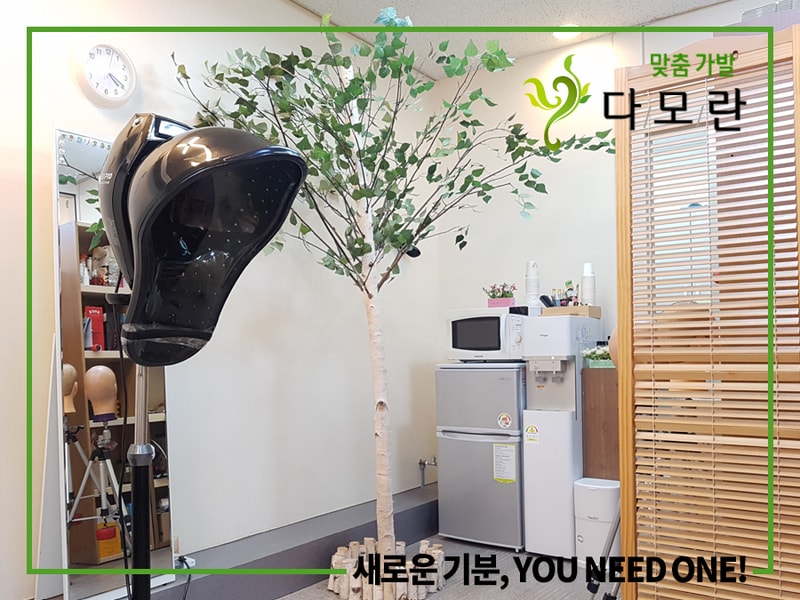 다모란 안양점