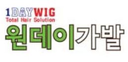 원데이가발