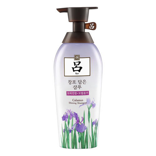 려 창포 담은 샴푸