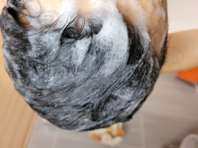 20231113_224845.jpg