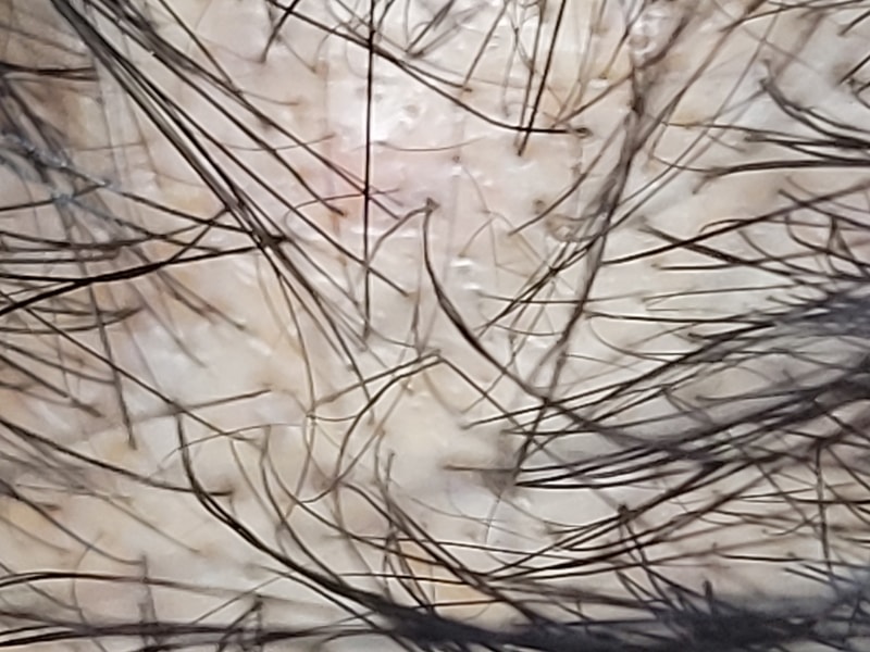 20240401_222446.jpg