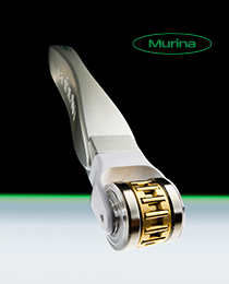MURINA