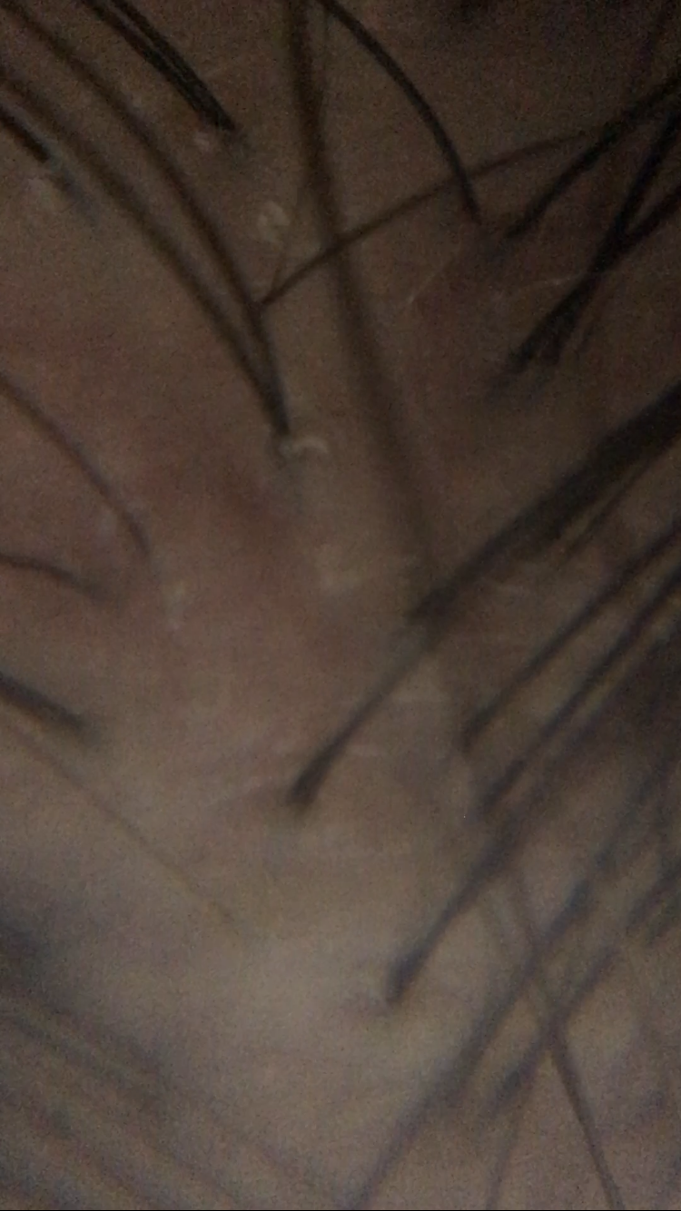 P20260126_195255000_4915C6F7-149A-4724-B736-BD0610E1EF64.PNG
