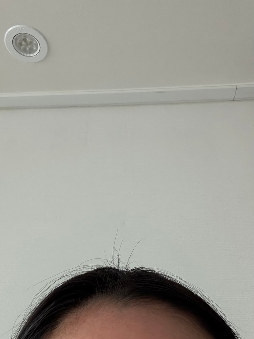 사용 전