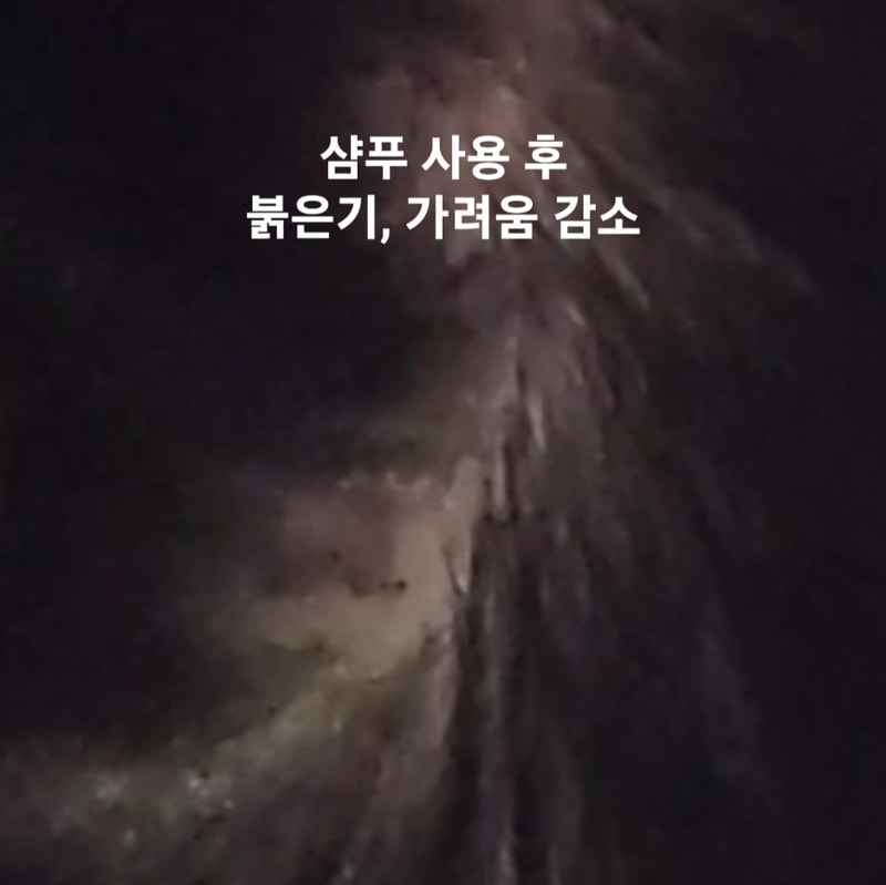 yyy.jpg