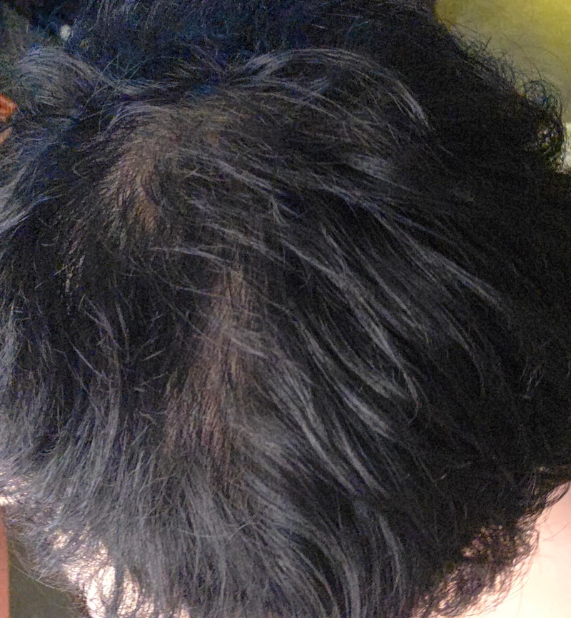 20260401_154741.jpg