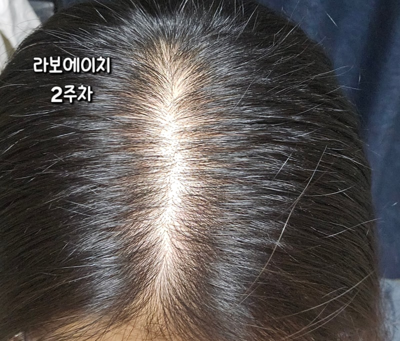 KakaoTalk_20260601_231140195.jpg