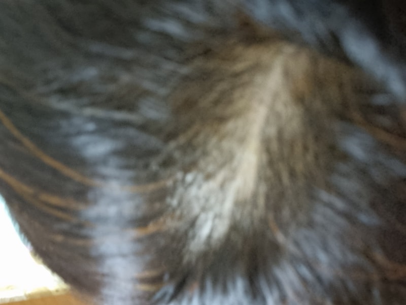 20230527_205348.jpg